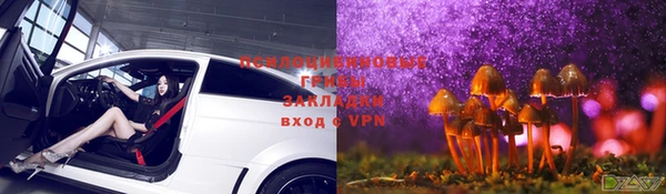 крисы Михайловск