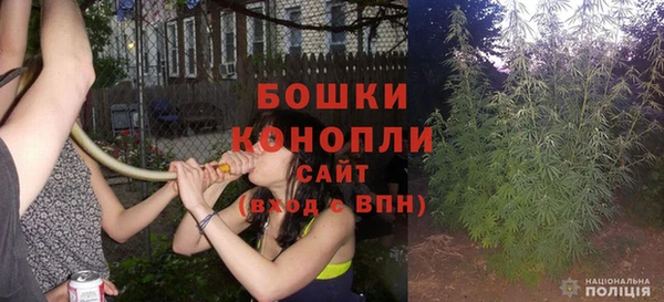 крисы Михайловск