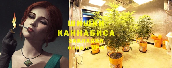 крисы Михайловск