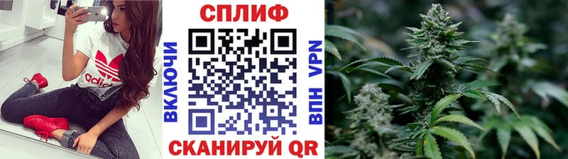 Конопля OG Kush  Купить где  Златоуст 